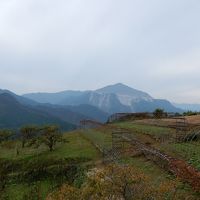 ぼたん鍋　食材探しの旅