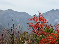 北アルプスの赤と黄色の色彩アーチを巡る!