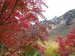 大日岳と立山の紅葉