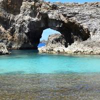 世界自然遺産　小笠原諸島への旅