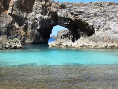 世界自然遺産　小笠原諸島への旅