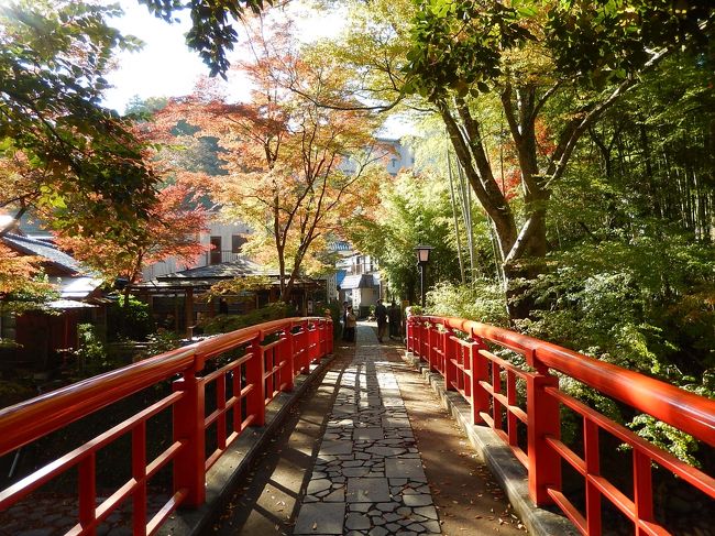 久しぶりに伊豆に宿泊して、美しい紅葉と海岸を満喫しました。<br /><br />---------------------------------------------------------------<br />スケジュール<br /><br />★11月22日　自宅?沼津IC?修善寺?浄蓮の滝?河津七滝　<br />　　　　　　[河津七滝温泉泊]<br />　11月23日　河津七滝?白浜?石廊崎?堂ヶ島?恋人岬?沼津IC?自宅