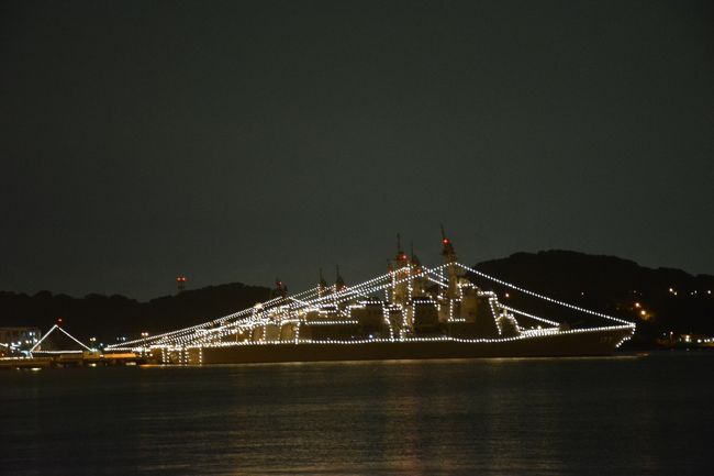 三連休の初日、何処へ行こうか考えないまま、上野東京ライン宇都宮行に<br />乗ってしまいました。<br />大船駅6：20頃発で、宇都宮へ・・・・・・・・・。<br />来た事ない町ですが、グーグルマップ見ながら、御朱印収集に挑みました。<br /><br />行程は、下記の通りです。<br />大船駅⇒宇都宮駅⇒妙正寺(日蓮宗)⇒清巌寺(浄土宗)⇒妙金寺(日蓮宗)⇒法華寺(日蓮宗)<br />⇒東妙寺(日蓮宗)⇒蒲生神社⇒二荒山神社⇒東武宇都宮駅⇒栃木駅(東武・JR両毛線）<br />⇒JR佐野駅⇒妙音寺(日蓮宗)⇒佐野厄除け大師(法相宗)⇒朝日森天満宮⇒妙顕寺(日蓮宗本山)<br />⇒星宮神社⇒妙音寺/再訪⇒佐野から小山経由で横須賀<br /><br />以上になります。<br />良く歩き、良くしゃべりました。<br /><br />表紙の写真ですが、横須賀港の写真になります。<br />帰りがけに見た、風景です。<br />