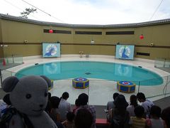 06宮島水族館で遊ぶ後半戦と帰り道（プチ宮島の旅最終）