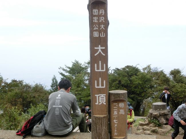 ３連休の初日。始発の電車に乗って嫁はんは、登山に出かけて行きました。置いて行かれた私も、そこそこ早起きできたので、どこかに行こう！と。で、以前から行きたかったが何度も行きそびれていて、既に嫁はんは何度も登っている大山に行くことにしました。一人で登山て何年ぶりだろう、、、、と考えてみると、久しぶりどころか初でした。<br />大山は、この５月?９月までケーブルカーがリニューアルのため休止していたので、すいているであろうケーブルカーの休止期間に行きたかったのですが、なかなか都合が合わず、気が付いたら１０月１日のケーブルカーリニューアルを迎えてしまいました。<br />しかし、ケーブルカーの始発９時よりも前に行けば、山もさほど混んでいないだろうと考え、いざ大山へ。<br />こま参道から男坂を登って、阿夫利神社へ。更に本坂で山頂へ。約２時間ほどの登山でしたが、標高３１０ｍのバス停から山頂１２５２ｍへ、約９５０ｍの登りはさすがに疲れました。が、充実感のある楽しい初単独登山でした。<br />