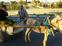 憧れだったウズベキスタンに行ってきました☆６日目はサマルカンド⇒タシケント