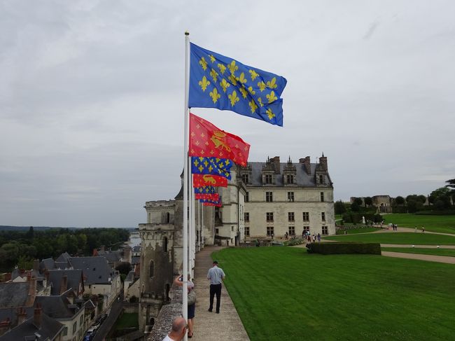 ただいま、私情によりフランスに滞在中です♪<br />そしてフランスの中でも最もきれいな街だともいわれているトゥール地方!ここは14世紀ごろのフランスの中心地であったため、多くのお城が残されております。<br />今回はそのなかでも、当時の王フランソワ1世に招かれてこの地方に移住したかの超有名な画家であり、設計師であり、、、多彩な才能を発揮したレオナルド=ダ=ヴィンチが眠っているアンボワーズ城編です。<br />ダヴィンチをフランスに招いたのが当時のフランス王フランソワ1世であり、彼はフランソワ1世の腕に抱かれて亡くなったと言われております。