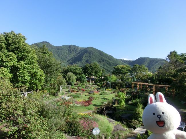 今年に入って３回目の信州です。（＾＾；　<br />今回も友人と共に１泊で行ったのですが、今回の目的は、なんと言っても”紅葉の栂池自然園”です。<br />本当は、到着したこの日に行こうと思っていましたが、この日はちょうど爆弾低気圧で天候が荒れるという日でしたので、栂池自然園へは翌日行くことにしました。<br />そんな訳で、この日は観光ということで・・・<br />