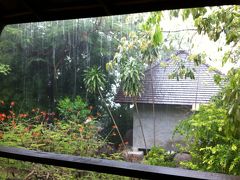 2015年サバーイ　タオ島＆サムイ島③雨を察知するの巻
