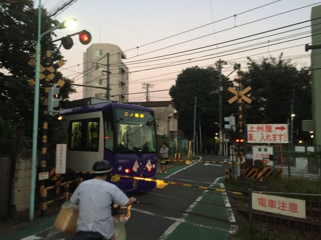 メトロ東西線の早稲田駅から「永青文庫」を経て、都電荒川線で池袋まで、ぶらり散歩です。