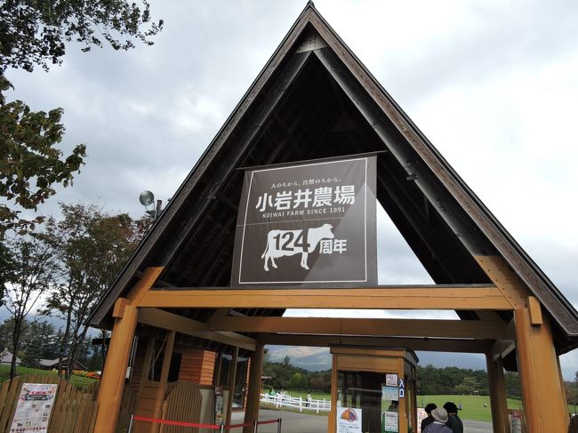 盛岡の旅は、去年の12月以来です。<br />今回も従姉妹に逢いに行くのが目的ですが、観光もかねて・・・<br />とはいうものの、親戚一同4人で、ということは、やはりあそこしかない!小岩井まきば園と、いろいろ。<br />今回は、一日目は小岩井と、城址公園を中心に見てみました。<br />二日目は、盛岡動物公園、一緒に行った従姉妹の希望です。いろんな、動物にあえて、楽しかったです。<br />動物園なんて子供が小さい時に行ったきりですが、結構大人でも楽しめました。