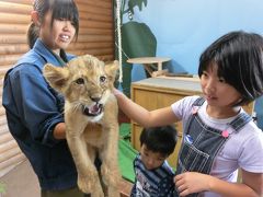 秋吉台サファリ・錦帯橋・錦町・津和野・みろくの里