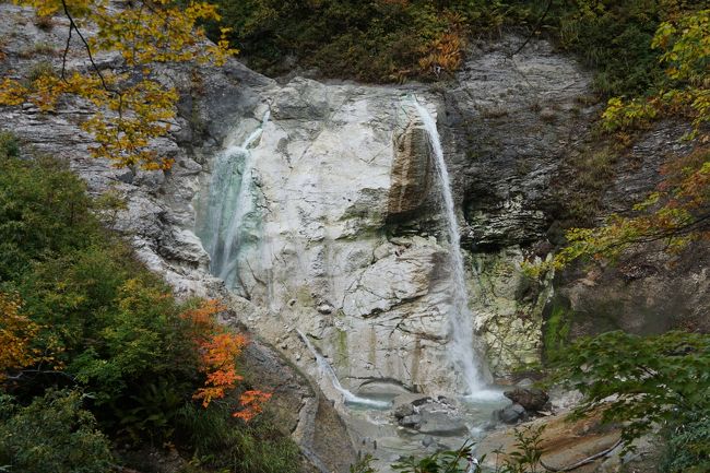 小安峡温泉は、国道沿いに旅館が何軒もあるし、観光案内所もある。けっこうな山の中なんですが、秋の宮温泉郷と並んで湯沢市では一番大きな温泉地ではないかと思います。<br /><br />それでも、比較的賑やかなのは大墳湯のあたりだけ。観光案内所や共同浴場はもう少し上流で、その間、国道沿いに市街が続いているとはいえ、いわゆる温泉街ということではありません。ちなみに、源泉は共同浴場辺りを境目にして、下流と上流で違うのだそうですが、はっきりと泉質が違うというほどではないので、湯巡りを楽しむにというほどのこともありません。一応、念のため。<br /><br />ただ、今日の観光は小安峡温泉の周辺部。たまたま寄った奥小安峡温泉から始まって、泥湯、河原毛地獄に湯滝と回って、これも活火山である栗駒山の恵みを感じることになりました。天気はイマイチでしたが、紅葉に染まった山深い場所にポツポツと観光スポットが隠れている。それぞれの位置関係がよく分かっていなかったので、時間配分がうまくいかなかったような気もしますが、いずれにしてもそのうろうろ迷った感じも含めてお伝えできればと思います。