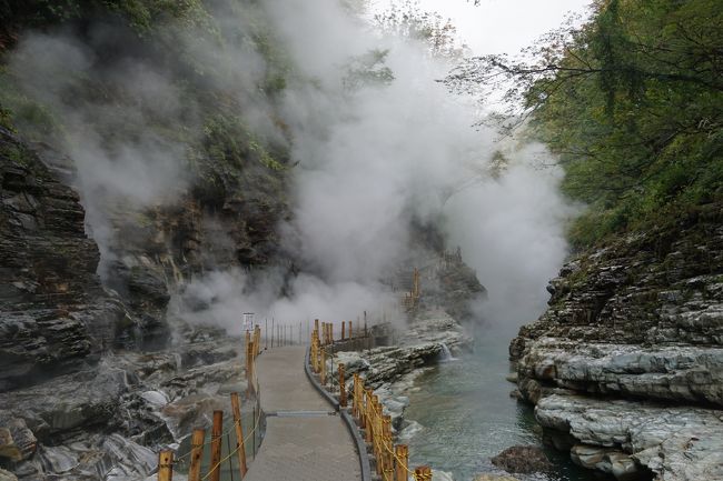 今日は、五日間の旅の最終日。小安峡温泉で泊まって、最終日は大墳湯の観光とかえで庵で早い昼飯を終えれば、その後は、高須高原温泉経由、栗駒山を越えてひたすら一関に向けて帰ります。<br /><br />とはいえ。。<br />大墳湯は小安峡温泉の名物ですが、深い渓谷の底でもうもうと湧きあがる湯気がダイナミック。そんなに期待していたわけではありませんが、湯気を通過する時のちょっとドキドキ感もあるし、なかなか楽しませてもらいました。<br /><br />そして、最後は久しぶりの厳美渓から一関市街のせきのいち周辺。餅とジャズのベイシーで締めました。ジャズって、こんなによかったかなあと思うくらい気分はハイテンション。そんなことは絶対ないはずなんですが、ジャズってもともと一関の空気にあっていたのかなあと錯覚してしまいそうなほど。一関は平泉の金色堂だけと思っている方々。今度は、是非、一関のもう一つの魅力を体験してみてくださ～い。