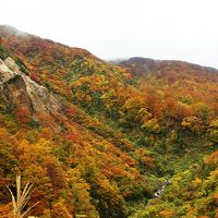 紅葉と山形ラーメンの旅