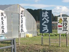 2015年10月　篠山市　「丹波の黒豆（波部黒）」を買う