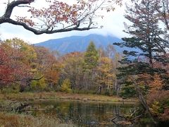 赤沼出発→小田代ヶ原・泉門池・戦場ヶ原ハイキング in栃木県・日光