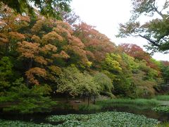 紅葉始めの千秋公園