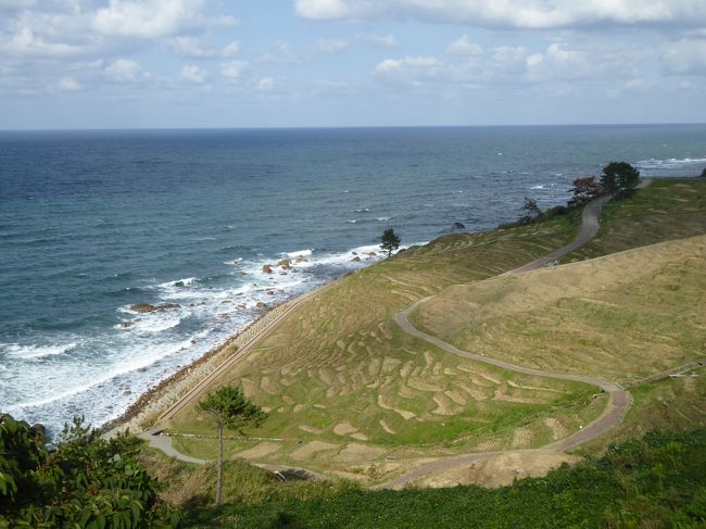 10月7日〜11日の4泊5日、北陸と信州へ行きました♪<br />山代温泉、和倉温泉、宇奈月温泉、別所温泉とリッチに宿泊♪<br />存分に温泉とグルメを楽しんできました♪<br /><br />☆Ｖｏｌ２４：第２日目（１０月８日午後）輪島市♪<br />山代温泉から専用車で能登半島へ。<br />志賀町の西海から輪島へ。<br />輪島市街を抜けて「白米千枚田」。<br />小さな急斜面にたくさんの水田が並ぶ千枚田。<br />一番小さなものは幅５０?ほど。<br />ちょうど収穫時期で千枚田の下2/3は刈り終り、<br />上部は収穫真っ最中。<br />ゆったりと美しい千枚田を眺めて♪