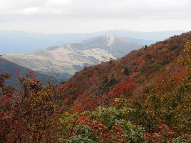 1年近くも登山をしていません。なんとなく気力がわかない状態でしたが、ようやく登山への意欲が出てきたため3連休の最終日久しぶりに山に登ることにしました。どの山に登るかということですが、10月中旬に差し掛かり紅葉の季節が始まり、少しでも標高の高いところが良かろうということで兵庫県最高峰の氷ノ山に決めました。登山コースは兵庫県側、鳥取県側といくつもあり、その中で鳥取県側の沢沿いの急登が続くワイルドな仙谷コースを登りで、比較的なだらかな尾根道の氷ノ越コースを下りで使うことにしました。<br /><br />氷ノ山データ：標高1509.8m（一等三角点、点名：氷ノ山、1509.77m）、ふるさと兵庫100山、日本二百名山、近畿百名山、関西百名山、中国百名山<br /><br />登山コース：響の森（車道7分）仙谷登山口（仙谷コース1時間43分）仙谷分岐（22分）氷ノ山（氷ノ越コ−ス1時間23分）キャンプ場登山口（車道13分）響の森、登り2時間12分、下り1時間36分、合計3時間48分（車道歩き含む）、累計標高差約700m、歩行距離約8?（仙谷コース2.5?、氷ノ越コース3.6?、車道）<br />同行者：単独<br />登山体力度：★★☆☆☆、コース難易度：★★★☆☆（★が多いほど困難） 