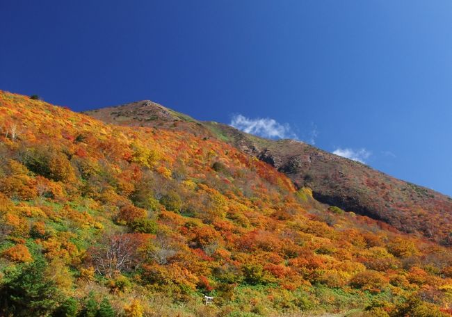 <br />安達太良山に先月行ったばかりなのに<br /><br />またまた福島に行ってしまいました〜。<br /><br />色づき始めた山を見てしまったら<br /><br />どうしても紅葉の最盛期を見たくなったもので・・・(^^;<br /><br /><br />今回は磐梯山方面に行ってみたのですが<br /><br />運良くふるさと割を利用出来た上に<br /><br />素晴らしい紅葉に出会う事も出来て<br /><br />最高のお出掛けとなりました。<br /><br />やっぱり福島っていいなぁ〜。大好きです♪<br /><br /><br /><br />