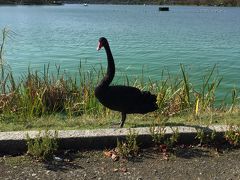 コキアの紅葉を見に行く一人旅　（1日目）水戸散策