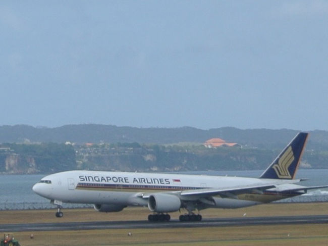 2013年夏休み旅行<br />奥さんから何度も「バリ島はいいところだよ♪」と聞いていたので<br />なんとなくパリ旅行画策から変更し、バリ島へ行くことが決定！<br />ただ奥さんはガルーダーで行くのが嫌だ！（あくまでも奥さんの個人的感想）<br />というので、A380に乗りたかった僕の希望を通してシンガポール航空での渡航が決定！<br /><br />調べてみると、時期外れのためか意外とビジネスクラス利用の<br />ツアーが安かったこともあり、奮発してビジネスクラス利用。<br />ただ行き（A380）のビジネスが取れなかったため、帰りのみビジネスクラス。<br /><br />バリ滞在、奥さんの希望は「アヤナリゾート」。<br />しかし値段が高かったため、奥さん第二希望のインターコンチネンタル バリに。<br /><br />さらにせっかくなので、シンガポールにストップオーバーして<br />奥さん念願の「マリーナ・ベイ・サンズ」に一泊しました。<br /><br /><br />旅行会社；旅工房<br />航空会社；シンガポール航空<br />ホテル；インターコンチネンタル バリ／マリーナ ベイ サンズ<br />日程；5泊8日