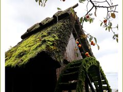 Solitary Journey［1653］雨天でもGOGO！秋の山陰車旅♪＜御机・花回廊・天の真名井・妻木晩田遺跡・松江城＞鳥取県～島根県