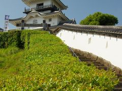 東海道　家康公の足跡を訪ねて②　～島田の蓬莱橋と東海の要・掛川城～