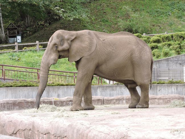 最後の日は、動物公園を見ました。<br />山形には大きな動物園がないので、大人でも、楽しめました。<br />珍しい動物いるかな？