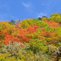 福島県横断の旅。あぶくま洞。宮古地区の蕎麦。檜枝岐の紅葉。