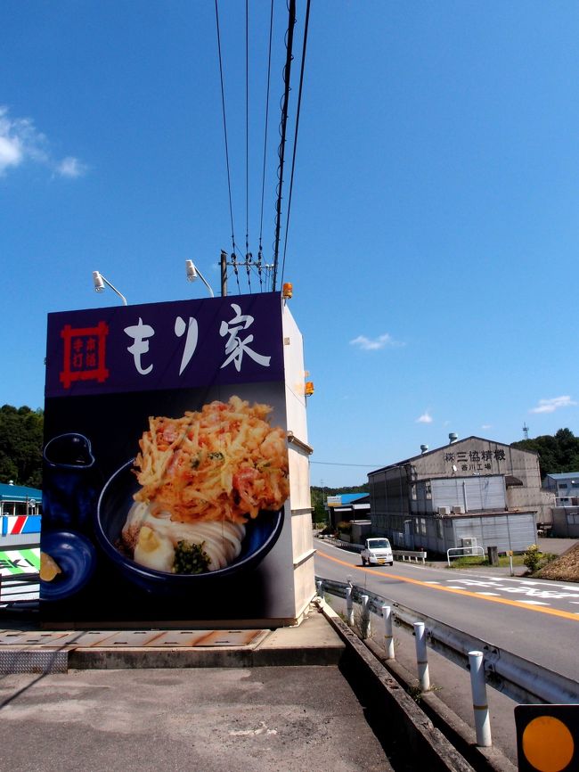 四国の玄関口鳴門から高松自動車道に入り、四万十川を目指す。<br /><br />四国にはもう一つ昔から憧れていた川がある。「大歩危小歩危」<br /><br />迂闊にも「四万十川」と「大歩危小歩危」は同じ川筋にあると思いこんでおり、それならば四国のほぼ真ん中辺りでそれほど遠くないと考えていた。<br /><br />ところがさにあらず、四万十川は四国・高知県の西南端に位置し、四国東北端の鳴門とは真反対の方角の、最も遠距離に位置する。<br /><br />覚悟を決めて先ずは中食。<br /><br />向かった先は勿論今回も讃岐うどん。<br /><br />中でも今回は先日NHKの「プロフェッショナル 仕事の流儀」で紹介のあった”もり家”へ。<br /><br />ところが以外にも”もり家”は高松市の南端の国道からも外れた、緩やかな畑の中の坂道に面して建っており、周囲には町工場のような建物と倉庫らしき建物が点々と建っているだけで、住居や商店と云った生活臭が全く感じられない位置にある。<br /><br />それでも12時前だと云うのに店の前には行列。<br /><br />漸く順番が回り案内された席は店の奥。<br /><br />横にはガラス張りのカウンターがあり、中でテレビでお会いしている店の大将森田さんが、一人黙々とうどんを仕込んでいる。<br /><br />仕込みは棚に積んである、30センチほどの鏡餅風の塊を足で踏みにじることから始まり、その塊を丸く手で整形後、何回も、縦からも横からも薄く伸ばして行き、それを棒状にまるめ、まな板に載せ、横にスライドさせ乍ら、位置は固定している包丁を森田さんがリズムよく上下させると、うどん状に綺麗に切断された束が残る。<br /><br />その束を店内の棚に運ぶ。<br /><br />この作業を森田さんは全く一人で繰り返す。<br /><br />その後は店内の従業員がテキパキと客の注文の品に仕上げていく。<br /><br />注文した”かき揚げおろし”はかき揚げの玉がでかく、それを見越してうどんの玉を小にしてもらったにも拘らず、食べつくすのに少々手こずった。<br /><br />2015晩夏家族旅行プラス(目次)に戻る<br />http://4travel.jp/travelogue/11063011<br /><br /><br />2015晩夏家族旅行プラス1;四万十川に魅かれて (目次)に戻る<br />http://4travel.jp/travelogue/11064532<br /><br /><br />