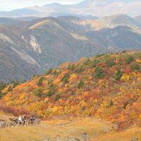 2015 秋の栗駒山ハイキング　後編　～　須川温泉へ下山、栗駒山荘宿泊　～