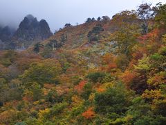 2015年　今年の紅葉は絶好の機会に恵まれて♪　谷川岳～日光白根山～いろは坂 ①