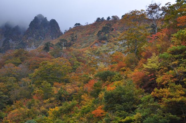 紅葉は何しろタイミング、谷川岳、一ノ倉沢と日光白根山、丸沼辺りに照準を合わせて、人出も少しは減るのを期待して、10月中旬の連休明け、13日火曜から2泊3日と決めました。<br /><br />それに、あの群馬ふるさと割り予約をゲット出来ました~!<br /> <br />10月13日火曜日 谷川岳ロープウェイで天神平、 一ノ倉沢へ<br /><br /> <br />