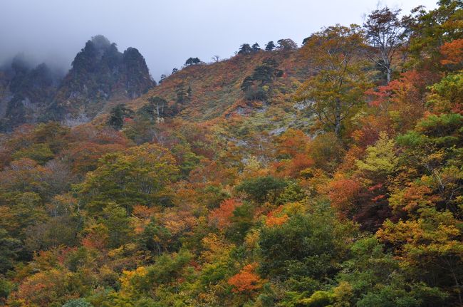 紅葉は何しろタイミング、谷川岳、一ノ倉沢と日光白根山、丸沼辺りに照準を合わせて、人出も少しは減るのを期待して、１０月中旬の連休明け、１３日火曜から２泊３日と決めました。<br /><br />それに、あの群馬ふるさと割り予約をゲット出来ました～！<br />　<br />１０月１３日火曜日　谷川岳ロープウェイで天神平、　一ノ倉沢へ<br /><br />　　　　　　<br />