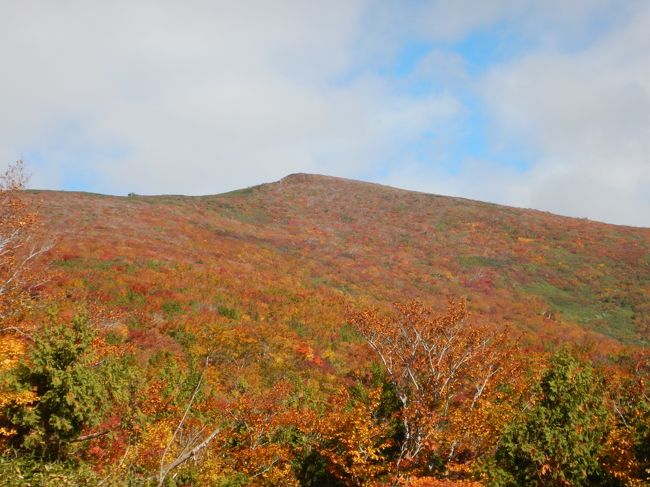 紅葉を期して両親と栗駒山をハイキングしました。<br />今年は少し紅葉が早めだったようですが、登山口付近は<br />ちょうど見ごろでした。<br /><br />日程：<br />10月6日（火）：東京ーくりこま高原ー送迎バスにてーハイルザーム栗駒（泊）<br />10月7日（水）：－いわかがみ平ー栗駒山ー昭和湖ー須川温泉ー栗駒山荘（泊）<br />10月8日（木）：－厳美渓ー達谷窟ー毛越寺ー平泉ー一関ー東京<br /><br />宮城県くりこま高原のハイルザーム栗駒に前泊し、温泉で<br />のんびり＆美味しいものをいただいて英気を養いました（^^）<br />翌朝、いわかがみ平から中央コースを栗駒山へ。<br />紅葉を愛でながらのんびり歩きました。<br />山頂はガスガスで強風、寒かったなぁ。<br />