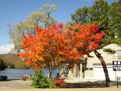 裏磐梯高原は空の色も紅葉も違いますね。～曽原湖とレンゲ沼編