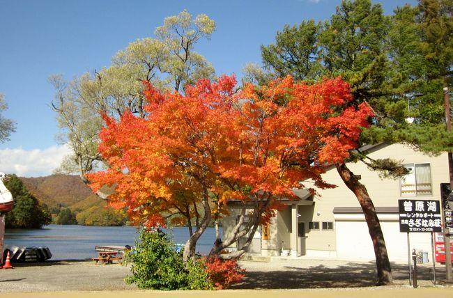 裏磐梯高原は空の色も紅葉も違いますね。～曽原湖とレンゲ沼編