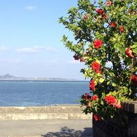 女一人、沖縄～与論島～奄美大島～鹿児島周遊の旅♪早速ビーチ！＆本部の親戚訪問