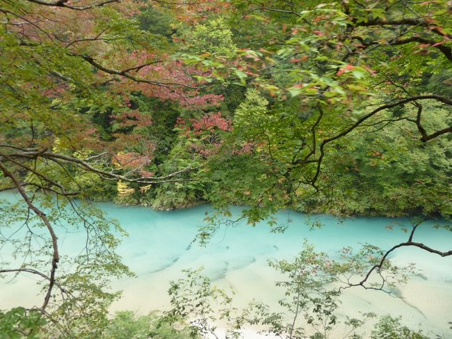 10月7日〜11日の4泊5日、北陸と信州へ行きました♪<br />山代温泉、和倉温泉、宇奈月温泉、別所温泉とリッチに宿泊♪<br />存分に温泉とグルメを楽しんできました♪<br /><br />☆Vol39:第4日目(10月10日午前)宇奈月温泉♪<br />宇奈月温泉「延楽」からホテル送迎サービスでトロッコ列車の駅へ。<br />宇奈月温泉駅から黒部峡谷トロッコ列車に乗る。<br />リラックス車で冷たい風をシャットアウトでき、<br />しかも座席の背もたれがあり、<br />リラックスしながら景色を眺められる。<br />1時間30分にかけてゆっくりと進む。<br />峡谷に沿って次から次へと美しい景色が。<br />紅葉も始まり、<br />秋の風景を楽しめる。<br />ゆったりと眺めて♪