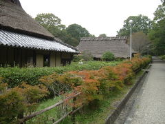 奈良　紅葉たより　大和民俗公園　2015秋