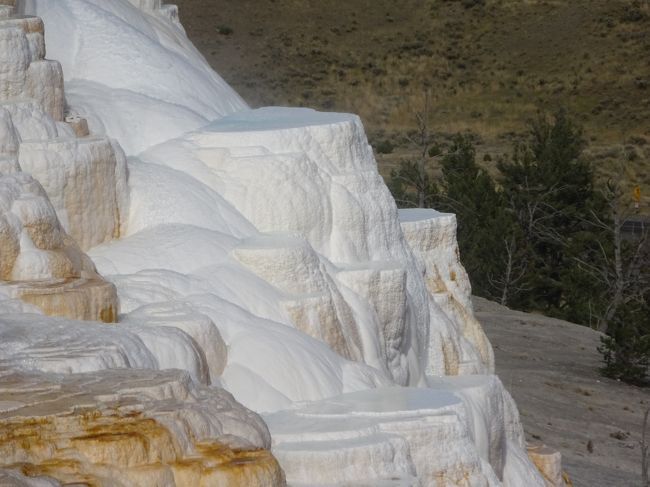 この回ではガイザー･滝･プール巡り。バイソン渋滞に遭い「Mammoth Hot Springs」に２回も行ってしまいました。