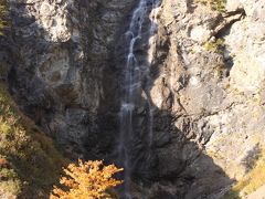 紅葉真っ盛りの石川　白山スーパー林道改め　白山白川郷ホワイトロード（2015年10月19日）