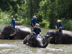 ラオス国境からミャンマー国境、タイ国立ゾウ保護センター