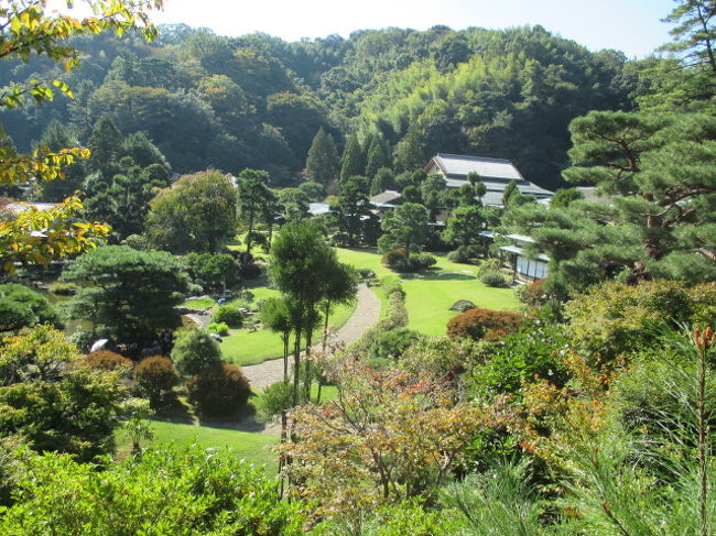 三万坪の敷地に三千坪の庭を持つ三養荘に宿泊。<br />もう一ヶ月遅かったら素晴らしい紅葉が見頃だったでしょうねえ。