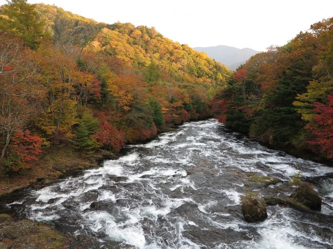 奥日光の紅葉