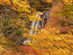 2015　美しすぎる横谷峡の紅葉に心奪われる