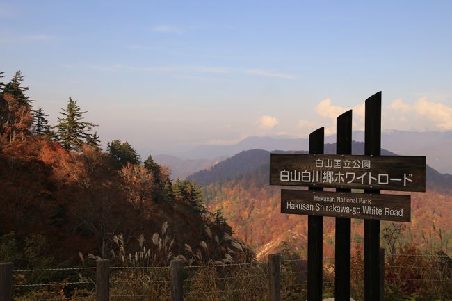 紅葉狩り 2015 <br />ホワイトロード 白川郷<br />乗鞍スカイライン 上高地へ<br />全ての工程は見頃を迎えており<br />天候も快晴 う〜ん 大満足<br />あーーー良かった良かった<br />皆さんも 良い紅葉狩りしてくださいね<br />楽しみにしときます<br />まずは 白山 白川郷ホワイトロードです