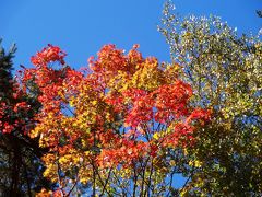 紅葉の軽井沢＆上田